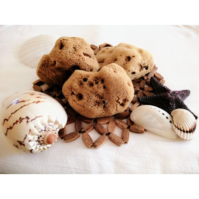 Mořská houba "BABY" 8,5 - 10 cm (Kalymnos, Řecko)